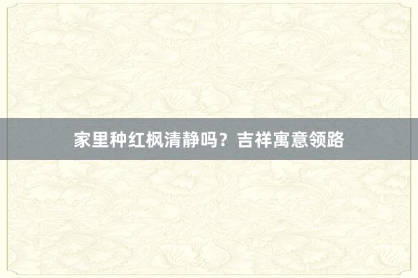 家里种红枫清静吗？吉祥寓意领路